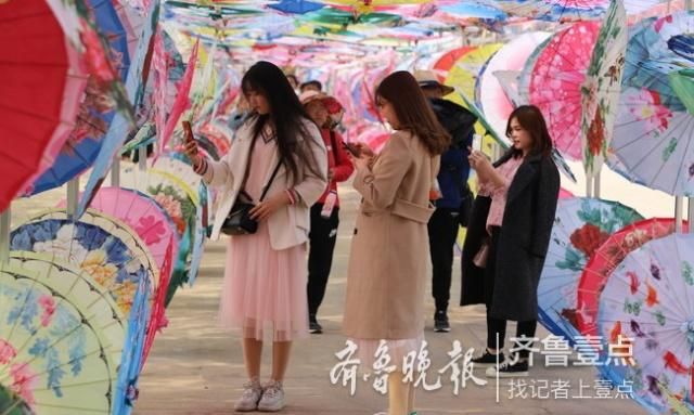 2019日照樱花节开幕,助推乡村振兴和大众旅游