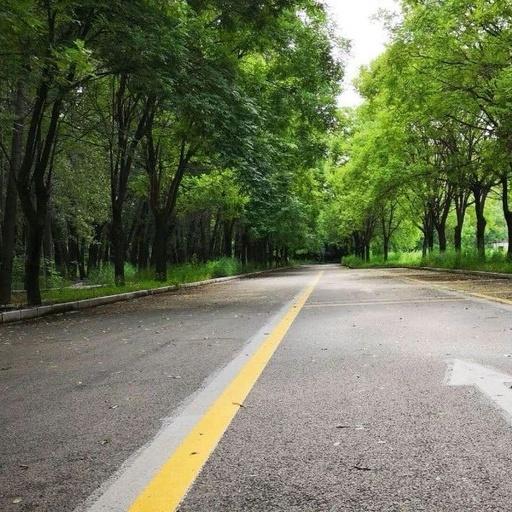 上海驾校官方科目三电脑智能化评判要点流出,