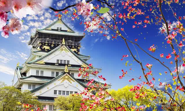 日本关西受台风影响大阪机场停运,你说现在还