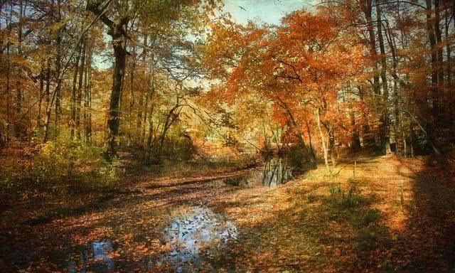 如何拍出油画效果的照片?看完这个你就知道了