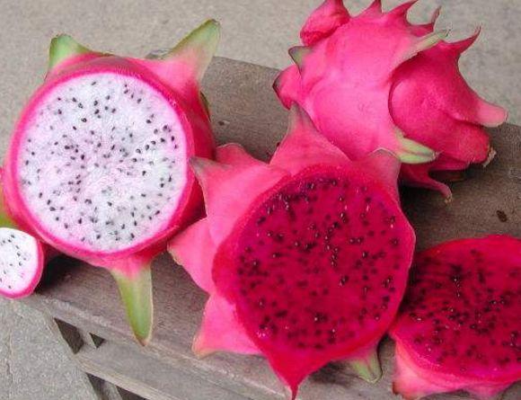 同是火龙果,红心、白心哪个更有营养?网友:原
