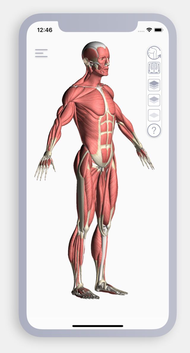 运动解剖APP-健身，运动解剖学与动作技巧详解