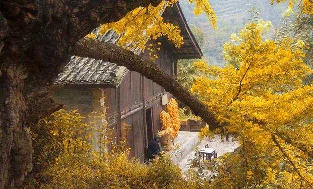 毕节地区人口最多的一个县_毕节地区地图全图(3)