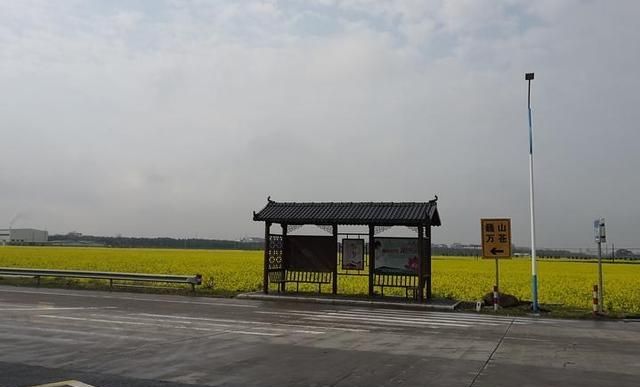 巍山镇通过金华市四好农村路示范镇v农村初中上优答案题七图片