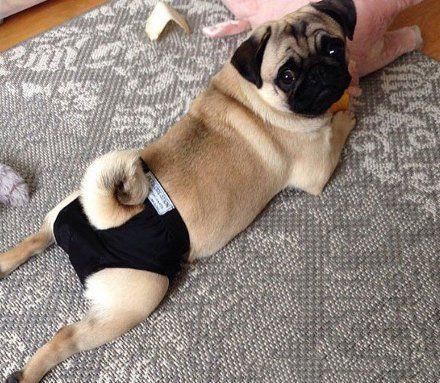 搞笑图片幽默段子笑话:买了一双鞋,拿回家细看后发现不对劲啊