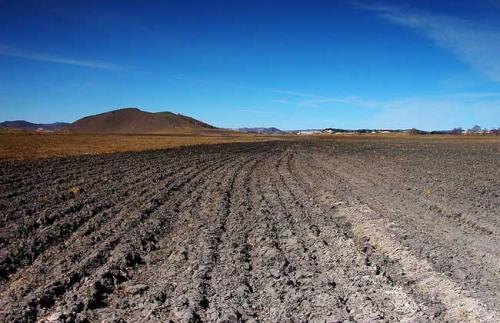 2019年农村土地出新法了,宅基地有3大变化,这