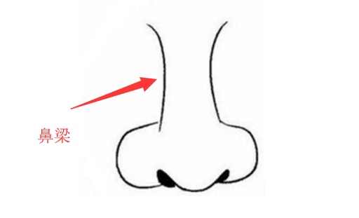 鼻子简笔画大全