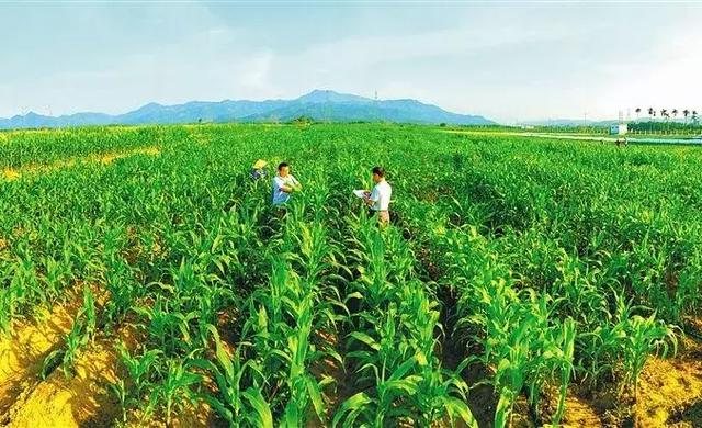 共有10家单位，荣获三亚第一批全域旅游，研学旅行实践教育基地