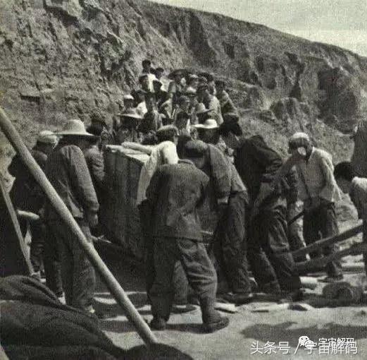 罕见考古照片：发现生活于300万年前古象化石，体型高大惊人