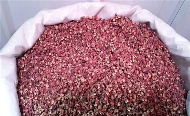 曾经打工仔，返乡种植梅花椒，年入50多万，一次种植终身受益