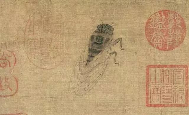 黄筌《写生珍禽图卷》，惟妙惟肖
