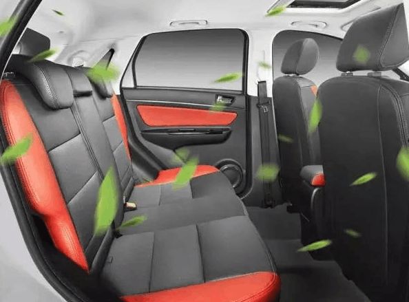 车里有异味,送去4S店检查之后,得知原因后女司