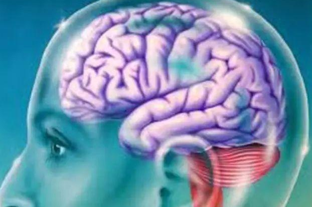 人的大脑相当于多大存储器?