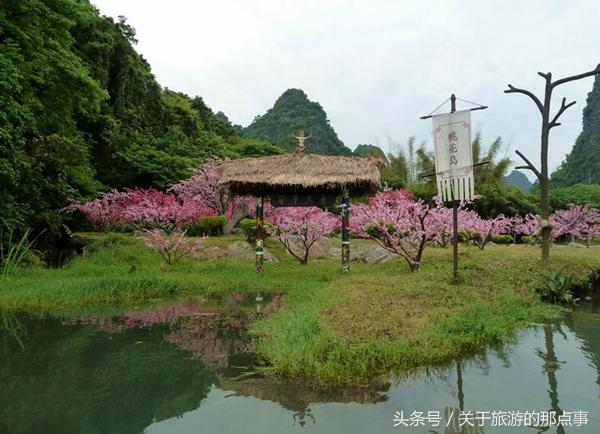迷失传奇页游SF现实桃花林!