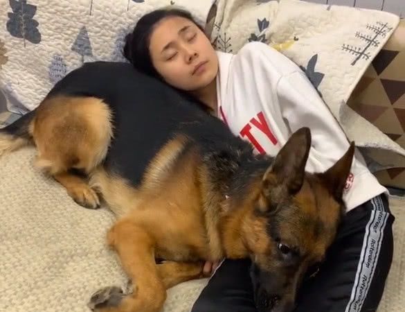 女主人|牧犬|狗狗_新浪网