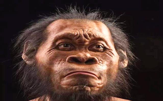 大脚人口普查_人口普查(3)