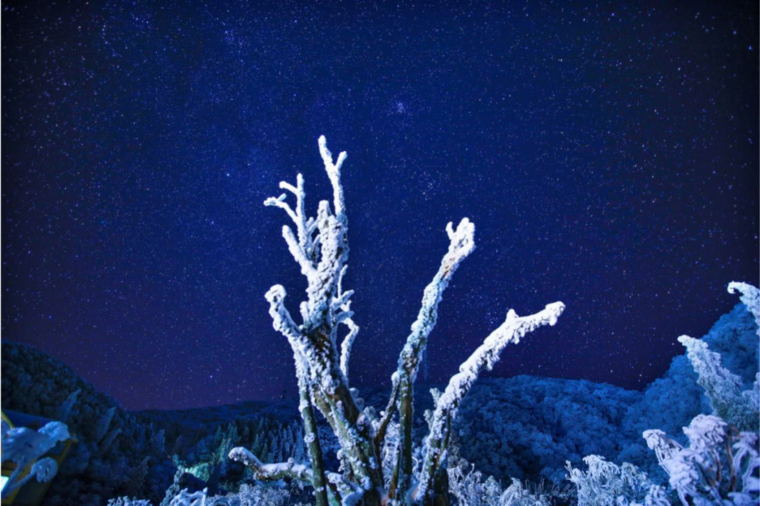 王正坤:金佛山北坡雪夜星空,美轮美奂,景致如诗如画!