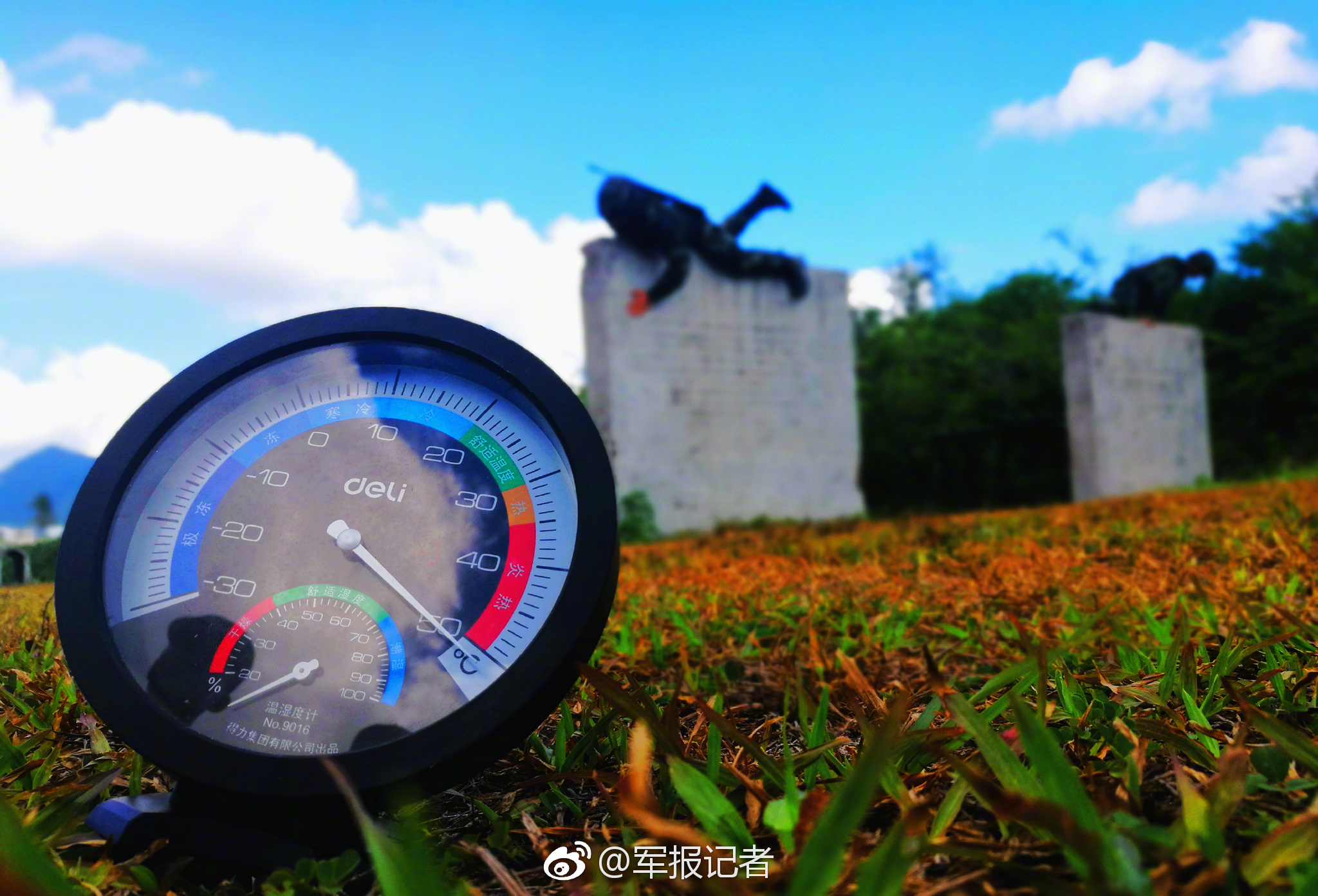 野生螃蟹的寿命有多长