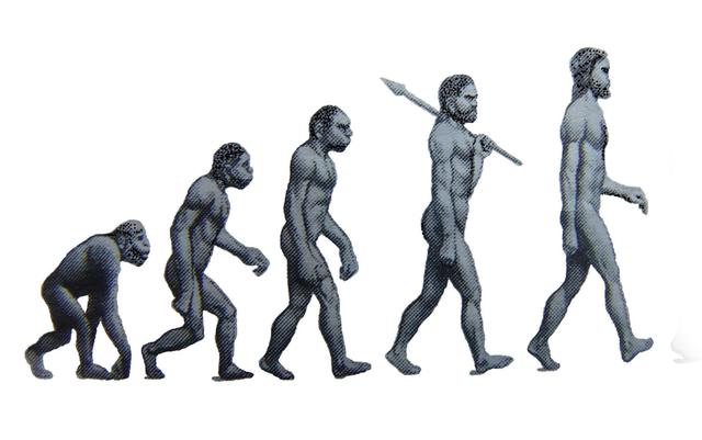 你以为人类直立行走是进化?殊不知人类为此反而变得脆弱了