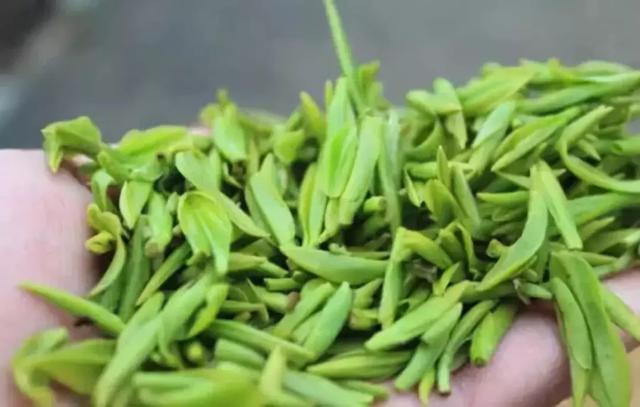 四明山独产的瀑布茶上线了，点击获取本季新茶！