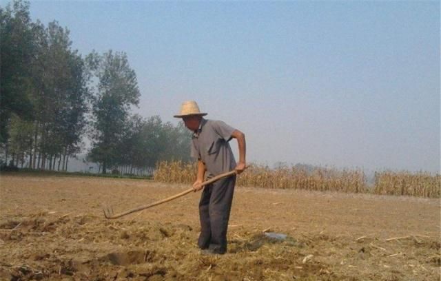 陕西农民在村外刨地,挖出20多件国宝青铜器,专家:奖励