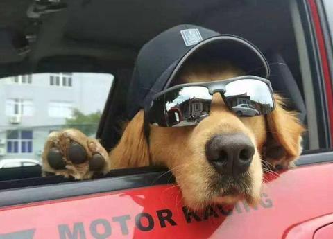 雨天路滑 车上1个部件能救命 还有件事儿需要注意