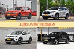 SUV车型中，途观关注度最高
