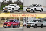 自主SUV车型中，WEY VV7关注度最高