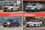 6月本田汽车口碑大横评