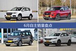 6月自主车型销量数据揭晓，用户愿意为哪些车买单？
