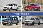 7月自主车型销量数据揭晓，用户愿意为哪些车买单？