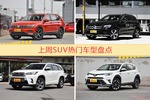 SUV车型中，途观关注度最高