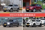 想买SUV车型，看看口碑排行榜再决定吧！