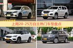 20-25万自主车型中，比亚迪唐新能源关注度最高