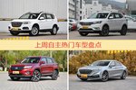 自主车型中，哈弗H6关注度最高