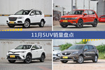 11月SUV热销车型盘点