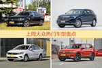 大众旗下哪些车上周最火？让我们一一揭晓