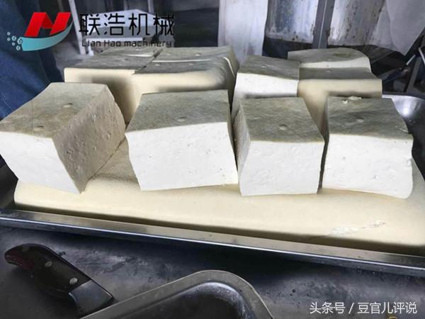 想要开豆腐作坊朋友们注意了,这些是你必须要知道!!