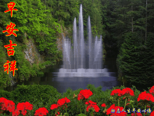 清晨,我让喜鹊带给您问候,愿您微笑在脸上,甜蜜在心里,早晨好