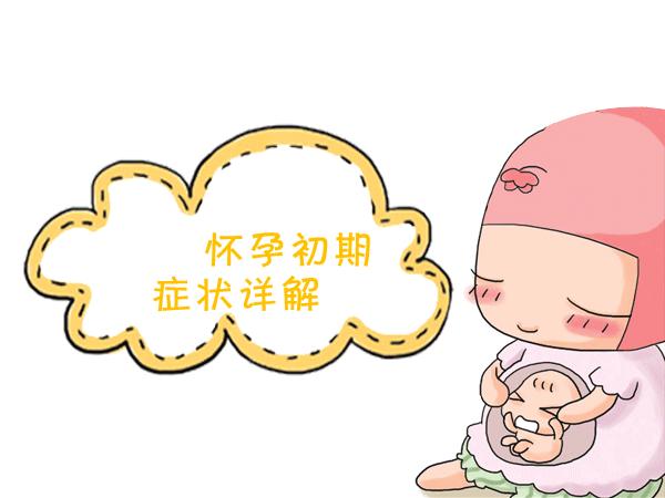 泰迪怀孕初期的症状是怎样的