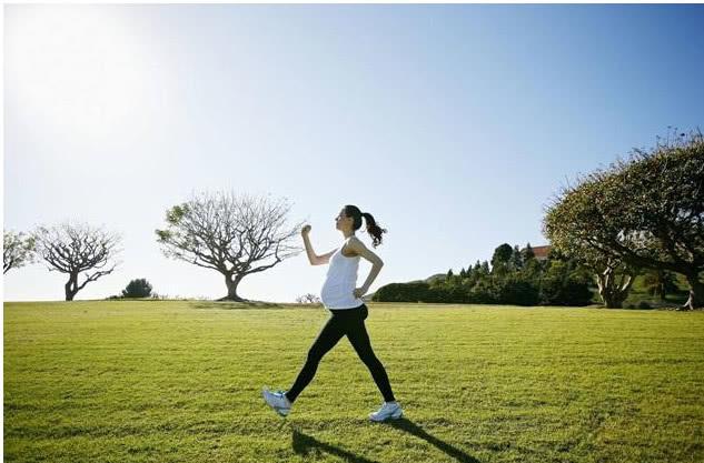 孕期食谱:准妈妈煲什么汤对胎儿好?适合孕妇喝