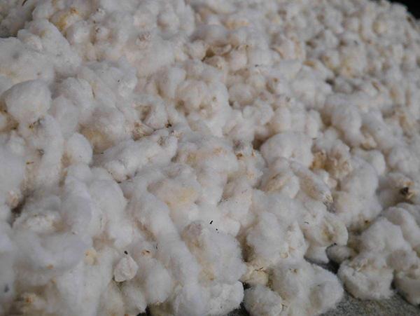 邯郸失联男童死亡图片