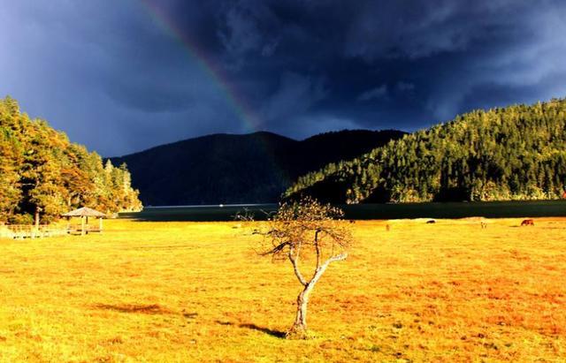 到云南旅游,最适合情侣游玩的6个地方,景美消