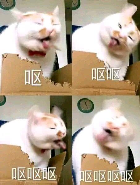 土味沙雕表情包精选