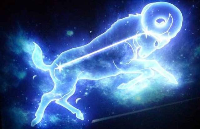 十二星座之2019年摩羯座运势,关键词:情绪宣泄,量加持xbox天蝎座温度图片