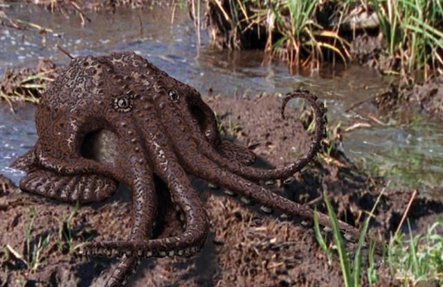 被预测在一亿年以后真实存在的奇怪生物,沼泽章鱼!