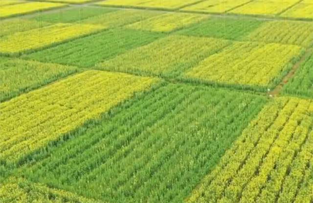 农业气象:定了!10到13号南方大部分地区天气晴好,晒被子咯!