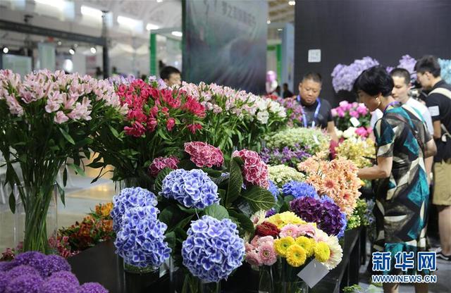 第19届中国昆明国际花卉展开幕
