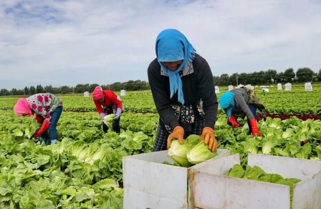 河北最穷的10个县,张家口占了5个,其中还有个