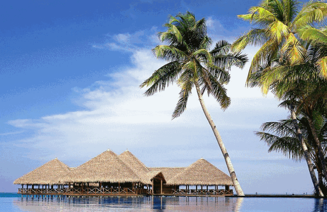 第十六届中国会展行业年会将于1月在海南三亚隆重举行!